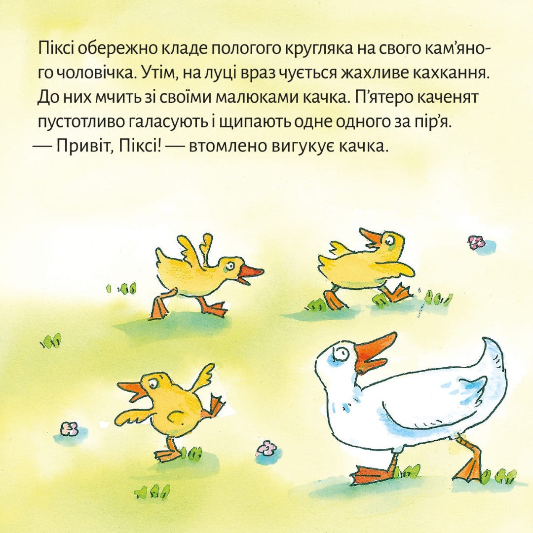 Піксі-книжка Качина школа