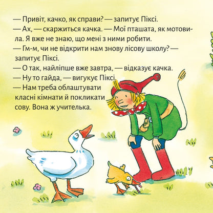 Піксі-книжка Качина школа