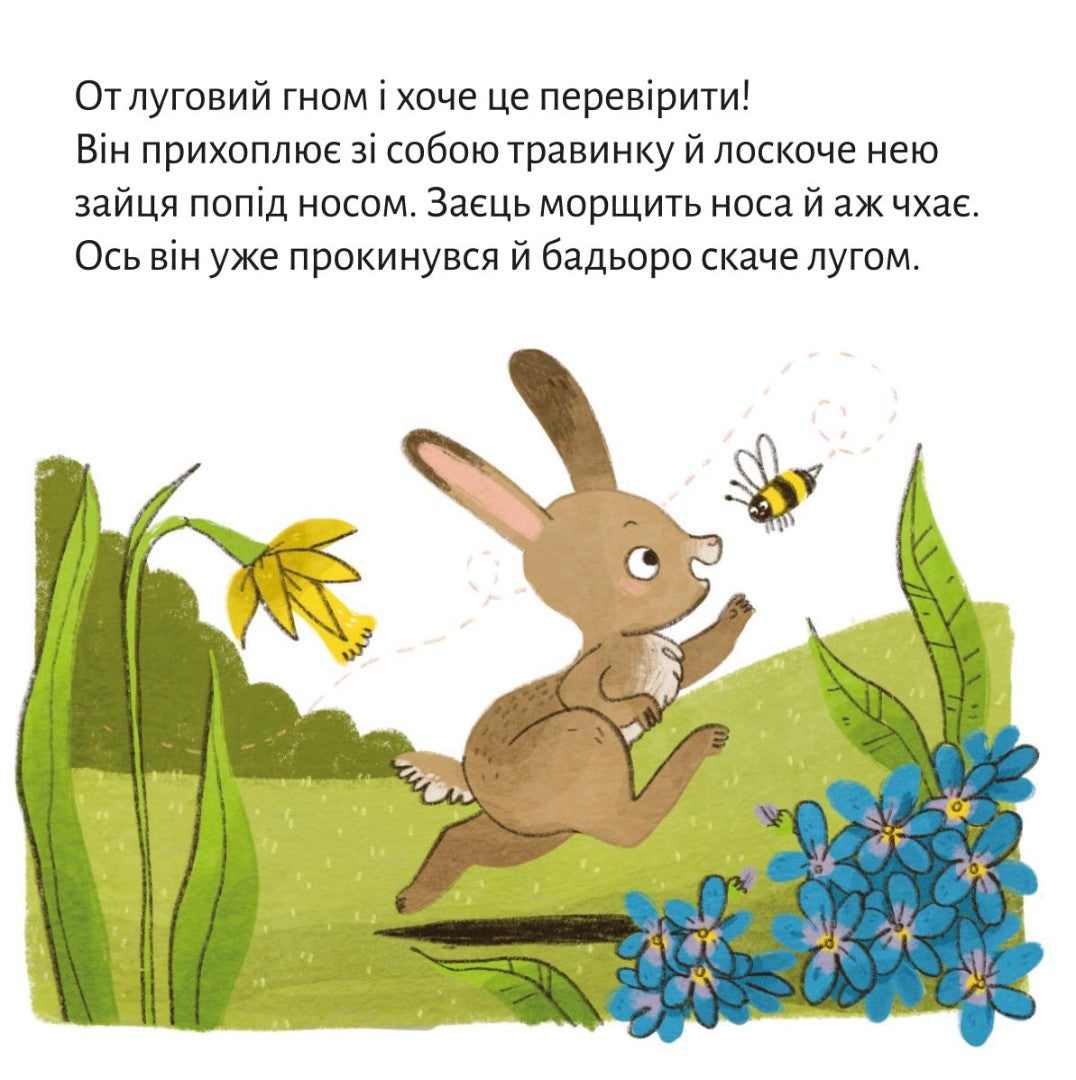 Піксі-книжка Весняні витівки